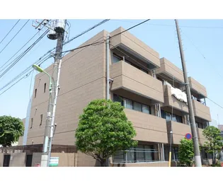 ロイヤルオークの画像