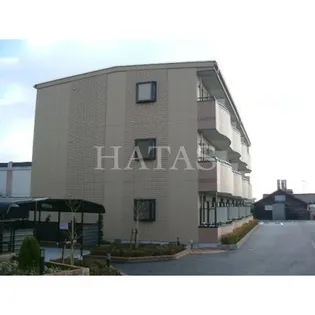 コスモなかねの画像