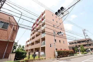 ベース ブリッジの画像