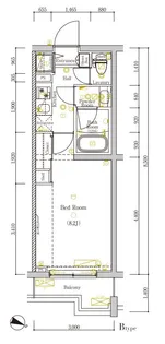 DIPS赤羽北EAST【5階】の間取り