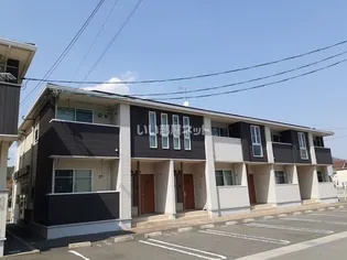 フェデール Bの画像