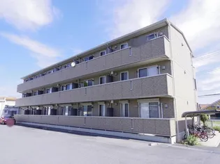 ハーベスト コートの画像