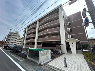 ヴィブレアトリオの画像