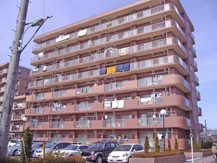 ビラ桜の画像