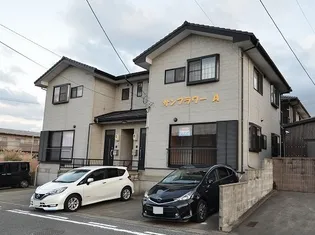 サンフラワーBの画像