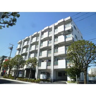 エルビィセイシンの画像