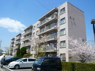 公社賃貸SMALIO 香里三井B【3階】の外観