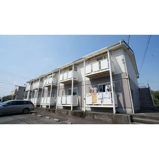 SURPLUS TWOピラカンサの画像