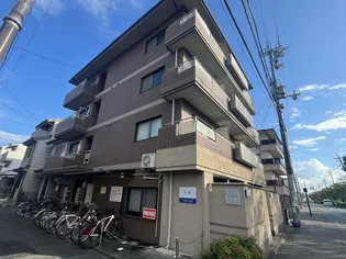 JTサフランの画像