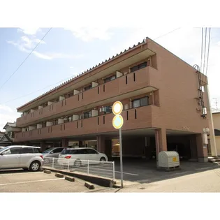 ブランシェの画像