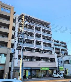 エルパラシオの画像