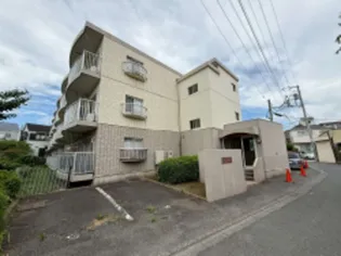 アイランドビレッジの画像