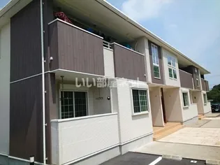 フリージア マツバの画像