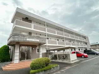 ドゥー フェリーチェの画像