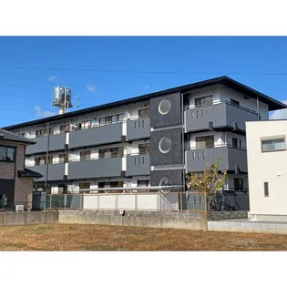 ソラリスの画像