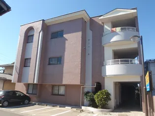 サンベールの画像