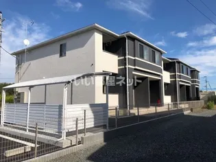 オリーヴの画像