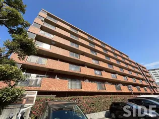 メゾン ド ヴィオレットの画像