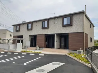 サンスベリアの画像