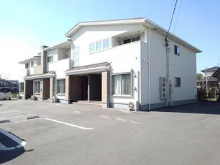 プラシードの画像