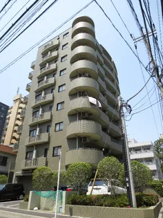 エスペランサの画像