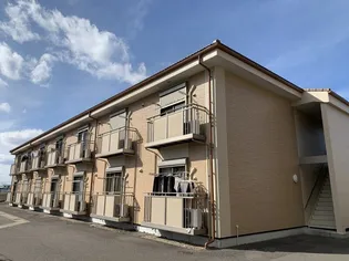 V FRUITの画像