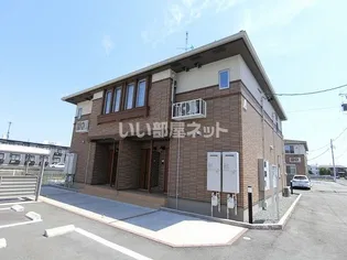 サン パインテイル Cの画像