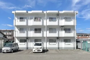 コスモⅡの画像