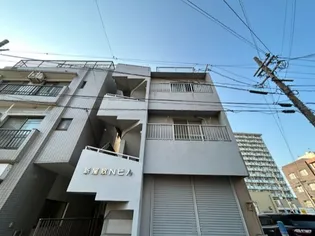 新屋敷Nビル【3階】の外観