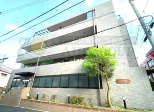 コスモフラワーの画像