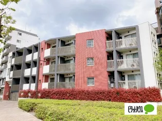 ビバリーホームズ上石神井【2階】の外観