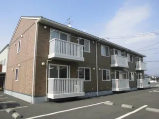 ボヌールTの画像