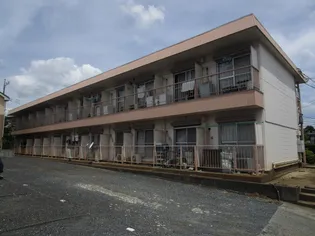 サンアベニュー金子【2階】の外観