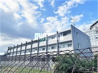 サクラーレの画像