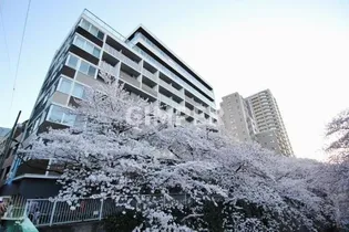 アールコート早稲田【3階】の外観