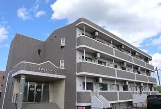 ブライトリーTの画像