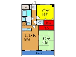 ソフィアコート163【5階】の間取り