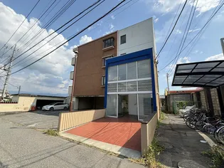 ブループランツの画像