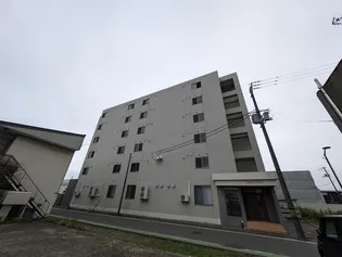 CALME AUBE CINQの画像