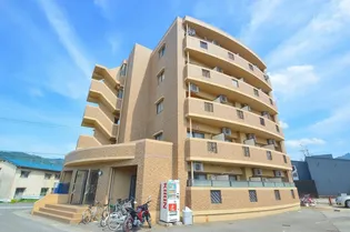 ライブコープ矢野の画像