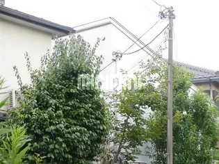 千葉県市川市真間5【一戸建】の外観