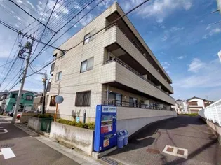 エバーグリーンの画像