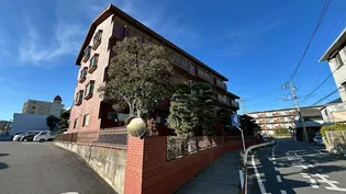 エクセレント丸太の画像