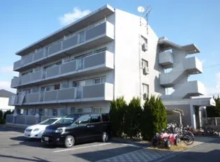 ラフィーネ壱番館の画像