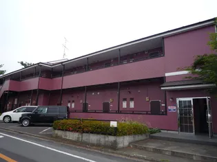 デルニエワコーIの画像