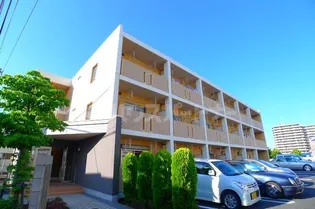 フィオーレの画像