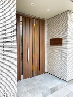 ゼルコバウエストの画像