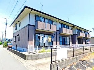 クレール幹の画像