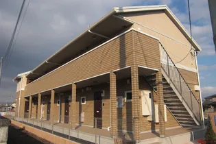 ルリ リーフの画像