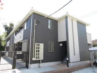 ゼファーノワールの画像